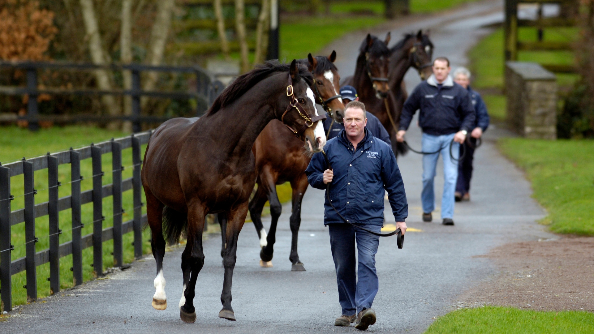 About Us | Farms私たちについて - Coolmore
