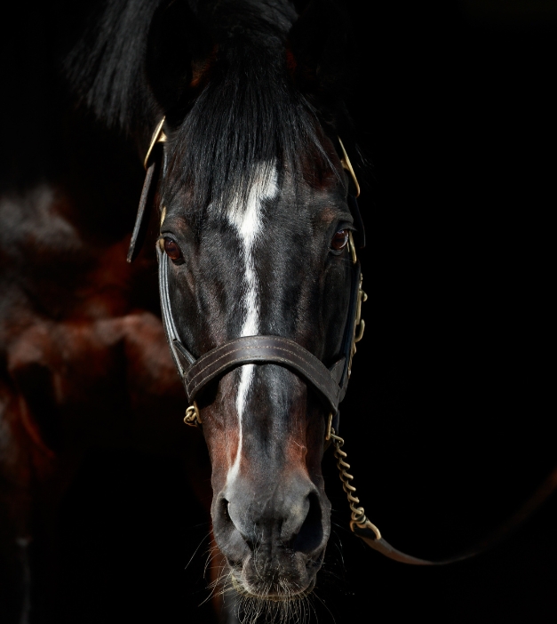 私たちについて - Coolmore 私たちについて - Coolmore